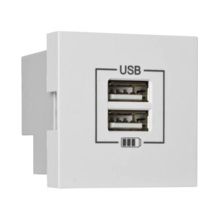Modul-Einsatz, USB-Ladegerät, 2 x USB-Ausgang 5V/2,1A, Modul 45 x 45