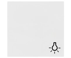 Wippe, für Symbol, SYSTEM 55, reinweiß...