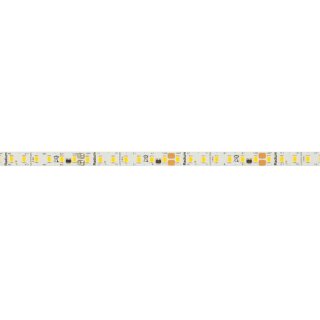 LED-Flexstreifen, STRIP 2200 S, 2835-SMD-LEDs/24V/96W, L 5 m, 700 LEDs, ~19,2W/m, ~2.200 lm/m