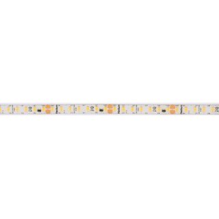 LED-Flexstreifen, STRIP 800 S, 2835-SMD-LEDs/24V/36W, L 5 m, 700 LEDs, ~7,2W/m, ~800 lm/m