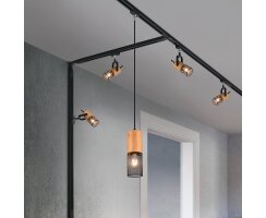 Pendelleuchte, TOSH, DUOline - Track System, 1 x E14/5W